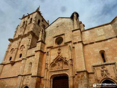 Alcornocal Dehesa Vieja-Atalaya Arrebatacapas;hayedo montejo monte hijedo refugio de la renclusa